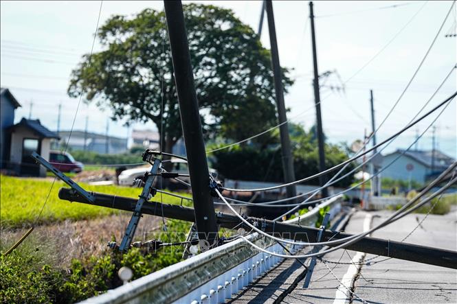 Ngày 28/7/2026, một trận động đất có độ lớn 7,1 độ đã xảy ra ngoài khơi tỉnh Kumamoto, miền Nam Nhật Bản. Theo số liệu thống kê đến sáng 31/7, trận động đất đã khiến ít nhất 34 người thiệt mạng. Công tác tìm kiếm, cứu hộ vẫn đang được triển khai khẩn trương tại các khu vực bị ảnh hưởng nặng nhất, song hy vọng tìm thấy thêm người sống sót đang dần thu hẹp. Ảnh: THX/TTXVN phát