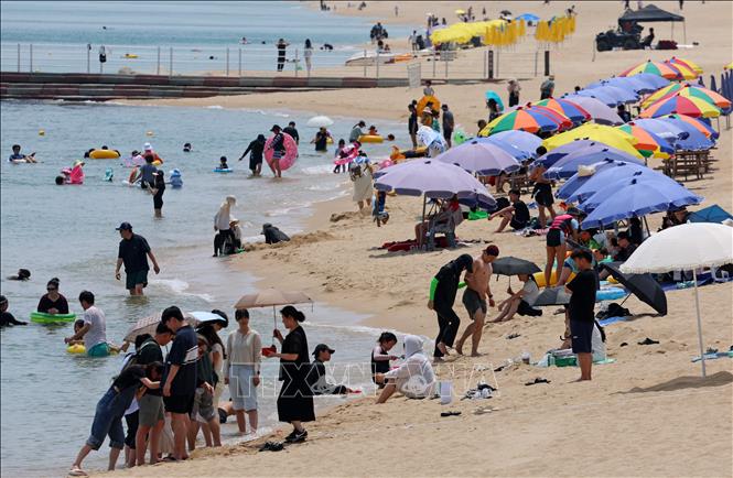 Người dân tắm biển tránh nóng tại Gangneung, Hàn Quốc. Ảnh: Yonhap/TTXVN phát