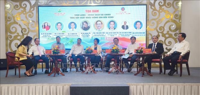 Đại biểu tham gia tọa đàm tại hội nghị. Ảnh: Huỳnh Phúc Hậu - TTXVN