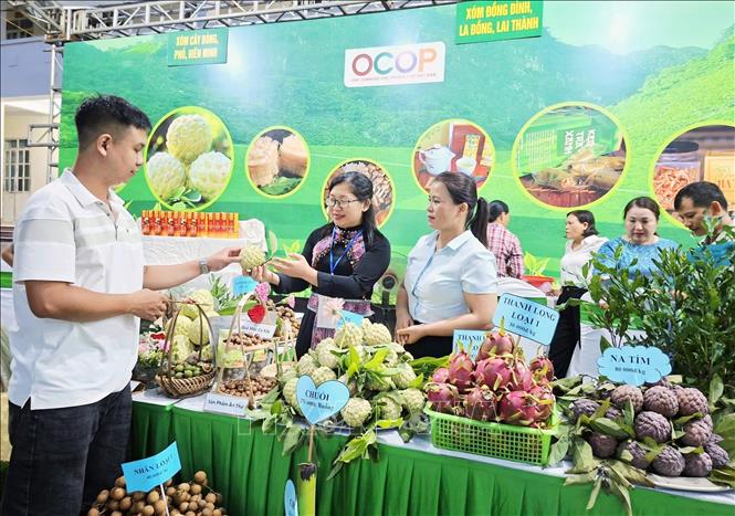 Người dân tham quan các gian hàng trưng bày sản phẩm nông sản. Ảnh: Trần Trang -TTXVN  