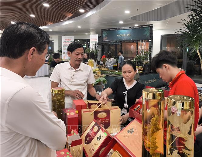 Các gian hàng trưng bày, giới thiệu sản phẩm từ Sâm Ngọc Linh và dược liệu. Ảnh: Quốc Dũng – TTXVN