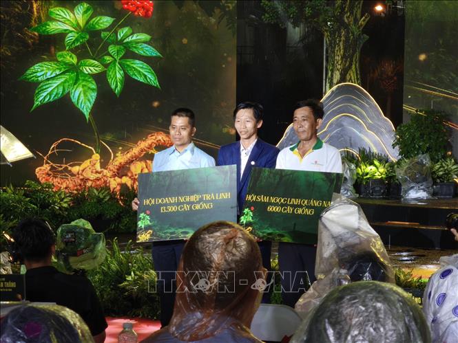 Đại diện các Hiệp hội doanh nghiệp trao tặng cây sâm giống cho đồng bào vùng trồng Sâm Ngọc Linh. Ảnh: Quốc Dũng – TTXVN