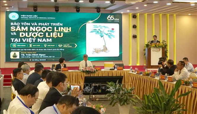Hội thảo khoa học quốc tế: “Sâm Ngọc Linh – từ sản phẩm quốc gia tới thương hiệu toàn cầu”. Ảnh: Quốc Dũng – TTXVN