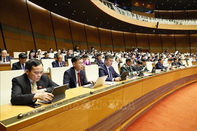 Đoàn đại biểu Quốc hội Thành phố Hồ Chí Minh dự phiên họp. Ảnh: Doãn Tấn - TTXVN