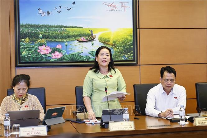 NA deputy Le Thi Thanh Lam from the Mekong Delta city of Can Tho speaks at the discussion in groups. VNA Photo: Doãn Tấn