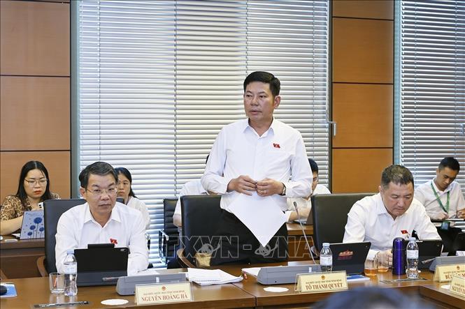 NA deputy Nguyen Thanh Trung from Ho Chi Minh City speaks at the discussion in groups. VNA Photo