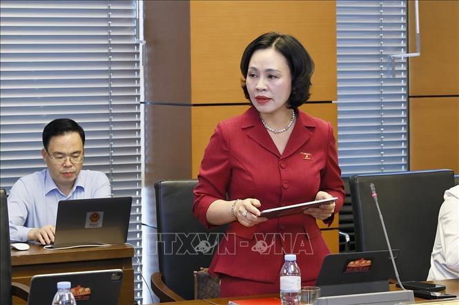 NA deputy Tran Thi Hong Thanh from the northern province of Ninh Binh speaks at the discussion in groups. VNA Photo