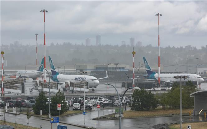 Máy bay của hãng hàng không Westjet tại sân bay quốc tế Vancouver ở Richmond, British Columbia, Canada, ngày 2/8/2026. Ảnh: THX/TTXVN phát