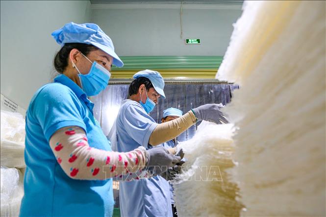 Tay Ninh province aims to enhance its competitiveness, develop products that meet international standards, and create a foundation for businesses to participate more deeply in the global value chain. VNA Photo: Minh Phú