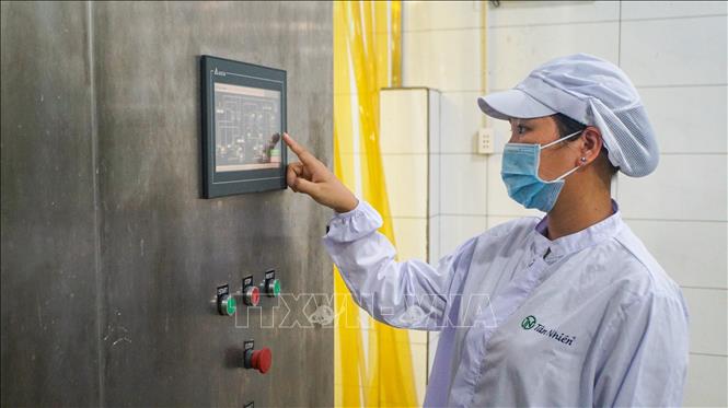 Businesses are applying technology and digital transformation in production management, meeting international market standards and achieving sustainable development. VNA Photo: Minh Phú