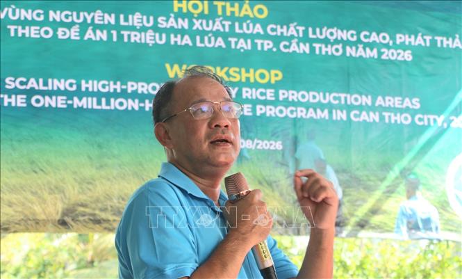 PGS.TS Nguyễn Văn Hùng, chuyên gia khoa học cao cấp của IRRI phát biểu. Ảnh: Duy Khương – TTXVN