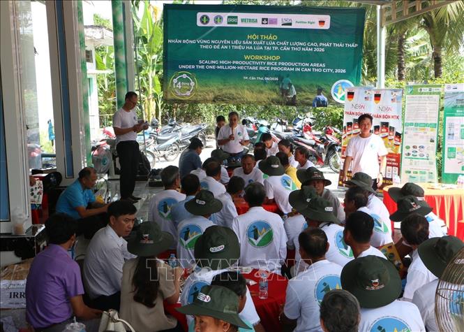 Quang cảnh hội thảo. Ảnh: Duy Khương – TTXVN