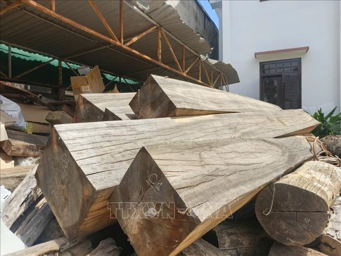Lâm sản bị thu giữ tại Hạt Kiểm lâm khu vực Ea Kar. Ảnh: Tuấn Anh – TTXVN