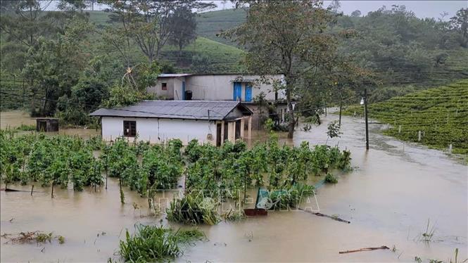 Cảnh ngập lụt sau những trận mưa lớn tại Nuwara Eliya, Sri Lanka, ngày 3/8/2026. Ảnh: THX/TTXVN phát