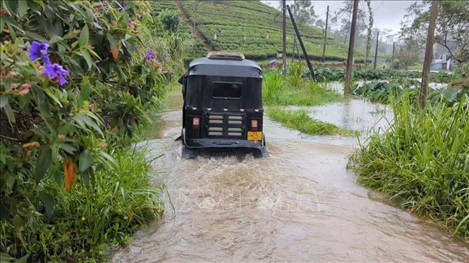Cảnh ngập lụt sau những trận mưa lớn tại Nuwara Eliya, Sri Lanka, ngày 3/8/2026. Ảnh: THX/TTXVN phát