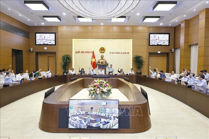 Ủy ban Thường vụ Quốc hội biểu quyết. Ảnh: Doãn Tấn - TTXVN