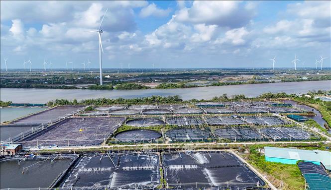 Một dự án điện gió trên bờ đang hoạt động ở xã Trần Đề, thành phố Cần Thơ. Ảnh: Thanh Liêm - TTXVN