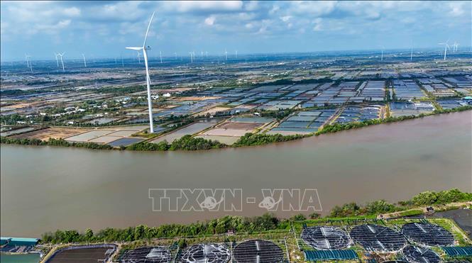 Một dự án điện gió trên bờ ở xã Trần Đề, thành phố Cần Thơ. Ảnh: Thanh Liêm - TTXVN
