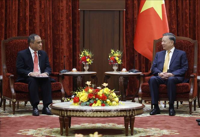 Tổng Bí thư, Chủ tịch nước Tô Lâm với Đại sứ Philippines tại Việt Nam Francisco Noel R. Fernandez III. Ảnh: Thống Nhất - TTXVN