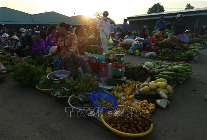 Hàng hóa ở chợ chủ yếu là “cây nhà lá vườn” như rau đồng, trái cây trong vườn người dân trồng được đem ra chợ bán…Ảnh: Duy Khương - TTXVN