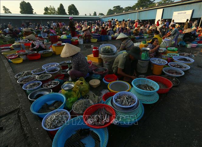 Người dân quen gọi nơi đây là “chợ chồm hổm” do người bán ngồi thấp, bày hàng đơn sơ trên những tấm bạt, rổ, hay chiếc mẹt nhỏ. Ảnh: Duy Khương – TTXVN