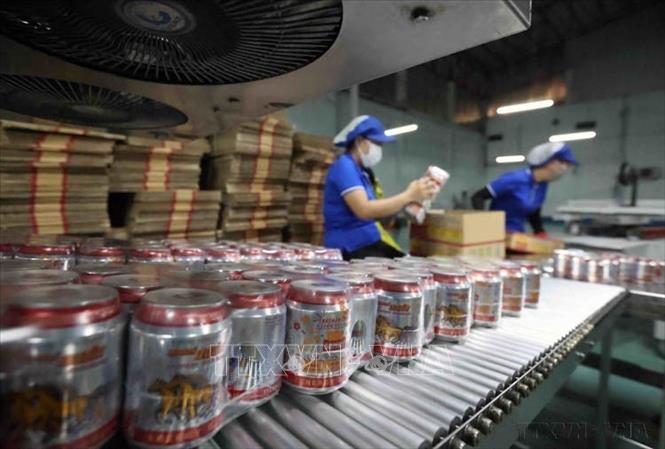 Đóng gói sản phẩm nước uống ở nhà máy của Công TNHH CHAICHAREON Việt - Thái, 100% vốn Thái Lan tại khu kinh tế cửa khẩu quốc tế Lao Bảo, tỉnh Quảng Trị. Ảnh: Vũ Sinh - TTXVN