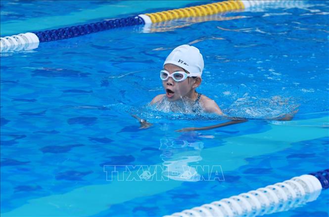 Các vận động viên thi đấu nội dung bơi ếch nữ. Ảnh: Anh Tuấn – TTXVN