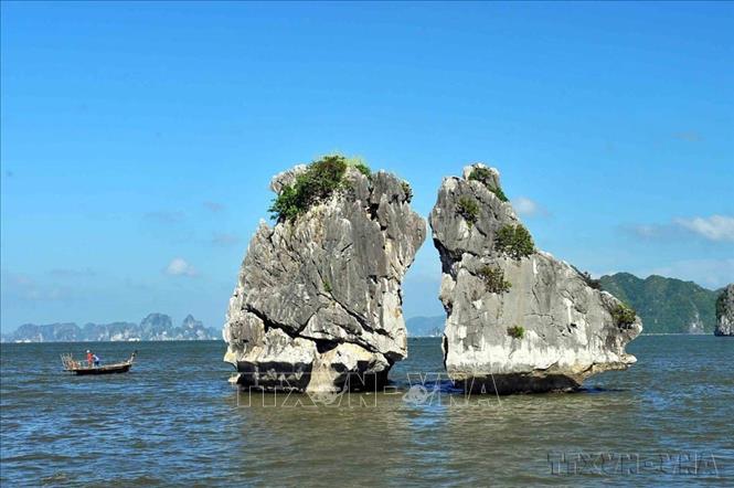 Vịnh Hạ Long (Quảng Ninh) được biết đến như một danh thắng nổi tiếng với hàng ngàn hòn đảo lớn nhỏ như một dải ngọc được rải đều trên bờ biển Đông Bắc tạo nên một bức tranh thiên nhiên sống động, kỳ vĩ. Trong ảnh: Hòn Gà Chọi hay còn gọi là Hòn Trống Mái, một trong những biểu tượng của vịnh Hạ Long nói riêng và du lịch Việt Nam nói chung. Ảnh: Minh Đức - TTXVN