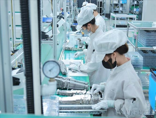 Trong 7 tháng năm 2026, tỉnh Quảng Ninh đã thu hút hơn 1,095 tỷ USD dòng vốn đầu tư trực tiếp nước ngoài (FDI), vượt xa tiến độ kế hoạch đề ra. Trong ảnh: Hoạt động sản xuất ở Công ty TNHH Bumjim Electronics Vina (100% vốn Hàn Quốc) tại Quảng Ninh. Ảnh: Hoàng Hiếu - TTXVN