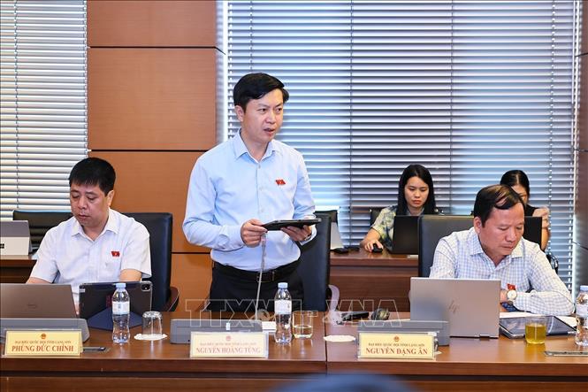 Đại biểu Quốc hội tỉnh Lạng Sơn Nguyễn Hoàng Tùng phát biểu ý kiến. Ảnh: Doãn Tấn - TTXVN