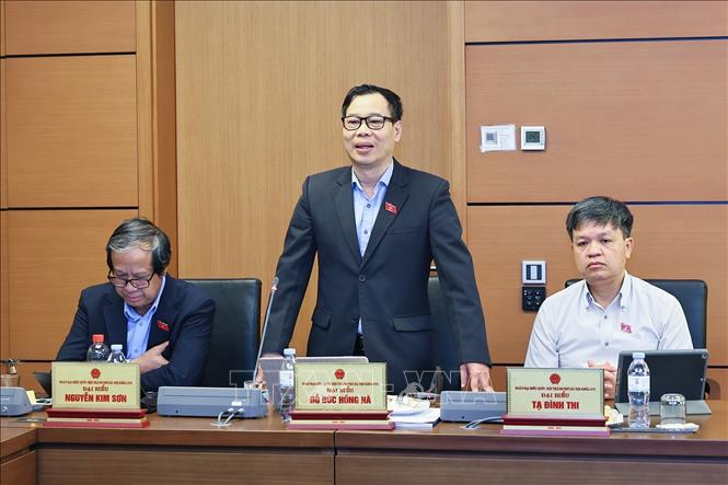 Đại biểu Quốc hội TP Hà Nội Đỗ Đức Hồng Hà phát biểu ý kiến. Ảnh: Doãn Tấn - TTXVN