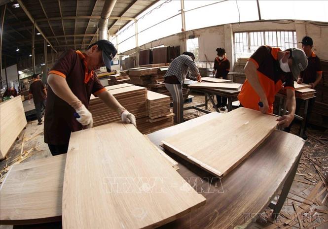 Sản xuất ván gỗ MDF xuất khẩu sang thị trường Mỹ, Australia, Thái Lan ở Công ty TNHH xây dựng và sản xuất MDF Hải Dương, phường Tân Hiệp, thành phố Tân Uyên, tỉnh Bình Dương. Ảnh: Vũ Sinh - TTXVN