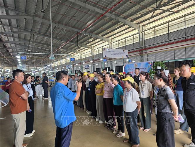 Cán  bộ Công đoàn trực tiếp gặp gỡ, lắng nghe tâm tư, nguyện vọng của công nhân; tuyên truyền, giải thích các quy định của pháp luật lao động; vận động người lao động bình tĩnh, không có hành vi quá khích, không để các đối tượng xấu lợi dụng, kích động, gây ảnh hưởng đến an ninh, trật tự và quyền lợi lâu dài của người lao động. Ảnh: TTXVN phát 
