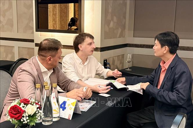 Doanh nghiệp Việt Nam và Ba Lan kết nối B2B. Ảnh: Mỹ Phương – TTXVN