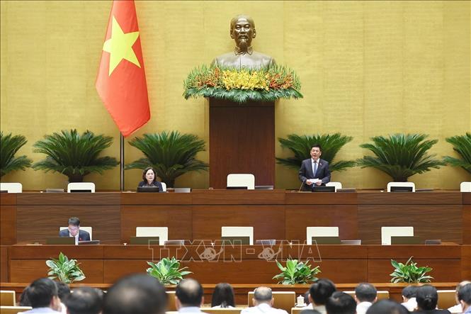 Phó Chủ tịch Quốc hội Nguyễn Hồng Diên phát biểu. Ảnh: Doãn Tấn - TTXVN