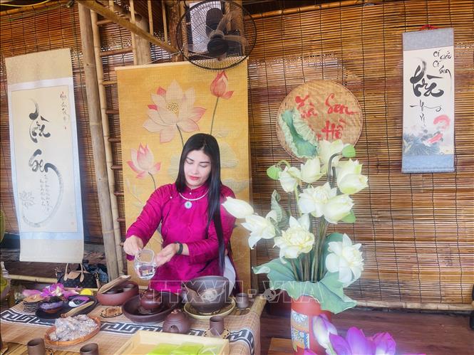 Nghệ nhân trình diễn pha trà sen Quảng An, giới thiệu nét tinh hoa của nghề ướp trà sen truyền thống tại không gian Hồ Văn - Văn Miếu Quốc Tử Giám (Hà Nội). Ảnh: Tuyết Mai - TTXVN 