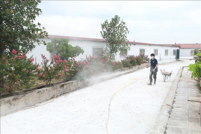 Các hộ chăn nuôi xã Phùng Nguyên tiến hành vệ sinh, tiêu độc khử trùng chuồng trại, xử lý môi trường theo hướng dẫn của cơ quan chuyên môn. Ảnh: Nguyễn Văn Cảnh - TTXVN