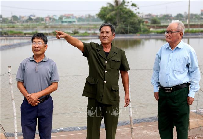 Trở về từ chiến trường, mang trong mình nỗi đau da cam, ông Đỗ Đức Mạnh (70 tuổi, xã Nam Cường, tỉnh Hưng Yên, ở giữa) đã vượt lên nỗi đau xây dựng đại lý thức ăn chăn nuôi, mỗi năm cung ứng ra thị trường từ 700 đến 1.200 tấn sản phẩm, mang lại doanh thu khoảng 30 tỷ đồng. Ảnh: Thế Duyệt – TTXVN

