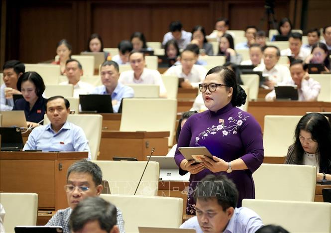 Đại biểu Quốc hội thành phố Huế Nguyễn Thị Sửu phát biểu. Ảnh: Tuấn Anh - TTXVN
