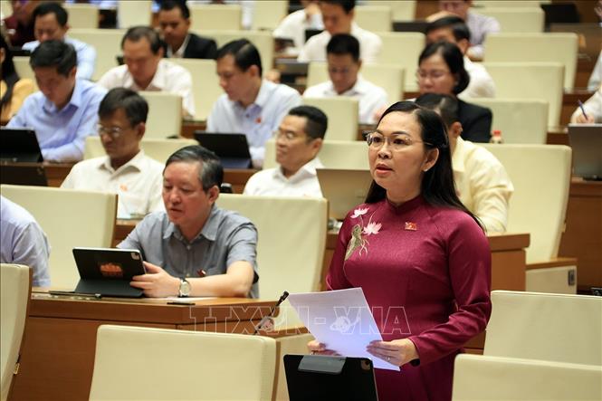 Đại biểu Quốc hội tỉnh An Giang Lý Anh Thư phát biểu. Ảnh: Tuấn Anh - TTXVN