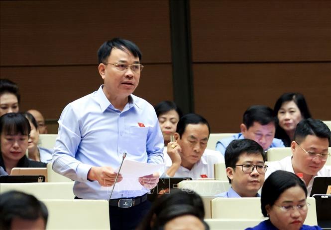 Đại biểu Quốc hội tỉnh Khánh Hoà Vũ Đại Dương phát biểu. Ảnh: Tuấn Anh - TTXVN