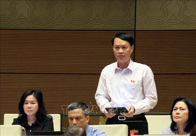 Đại biểu Quốc hội tỉnh Nghệ An Lương Đình Hưng phát biểu. Ảnh: Tuấn Anh - TTXVN
