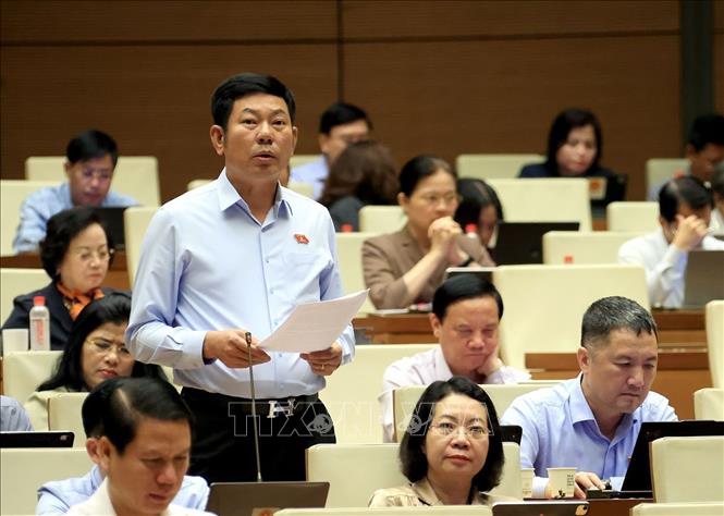 Đại biểu Quốc hội tỉnh Ninh Bình Tô Thành Quyết phát biểu. Ảnh: Tuấn Anh - TTXVN