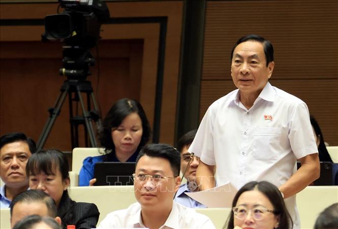 Đại biểu Quốc hội tỉnh Đồng Tháp Phạm Văn Hoà phát biểu. Ảnh: Tuấn Anh - TTXVN