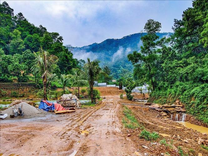 Một khu vực có dấu hiệu bị san gạt, cải tạo mặt bằng giữa rừng phòng hộ Sóc Sơn, xã Kim Anh, Hà Nội. Ảnh: Trung Nguyên - TTXVN