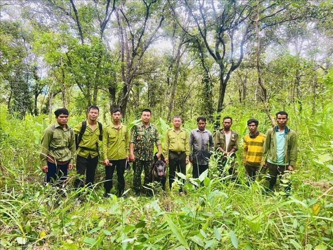 Lực lượng chuyên trách cùng đồng bào sinh sống trong vùng đệm các vườn quốc gia, khu bảo tồn thiên nhiên cùng tham gia bảo vệ rừng. Ảnh: TTXVN phát