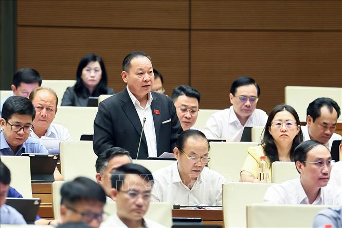 Đại biểu Quốc hội tỉnh Lào Cai Tráng A Dương phát biểu. Ảnh: Doãn Tấn - TTXVN