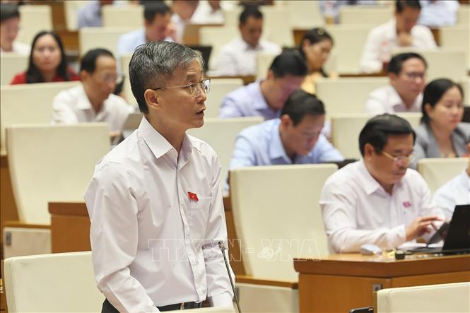 Đại biểu Quốc hội Đà Nẵng Nguyễn Khánh Ngọc phát biểu. Ảnh: Doãn Tấn - TTXVN