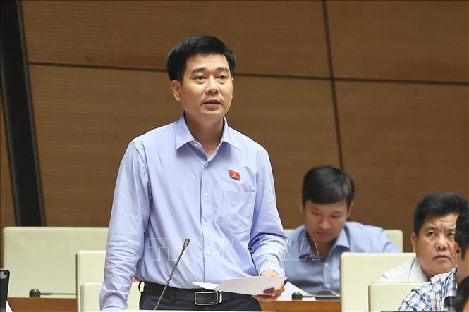 Đại biểu Quốc hội tỉnh Thanh Hoá Lê Thanh Hoàn phát biểu. Ảnh: Doãn Tấn - TTXVN