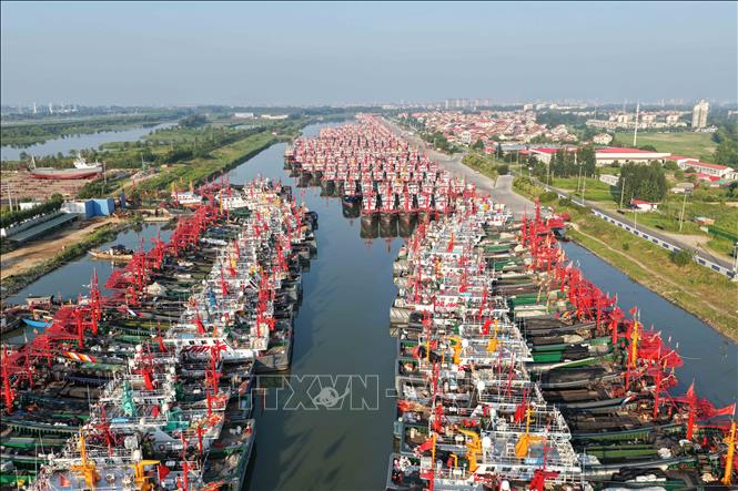 Tàu cá neo đậu tránh bão tại cảng ở tỉnh Giang Tô, miền Đông Trung Quốc, ngày 7/8/2026. Ảnh: THX/TTXVN phát